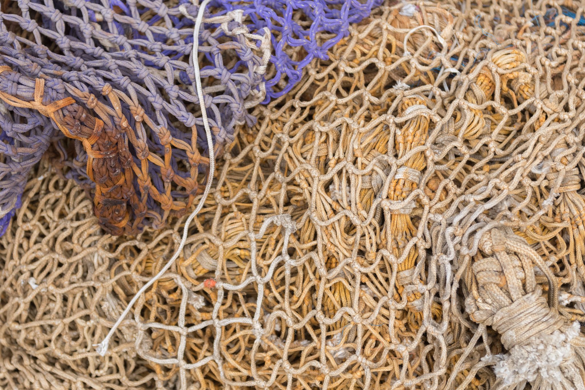 20230304   Fotoshoot IJmuiden   029